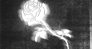 Liberato, genio creativo tra trap e neomelodico