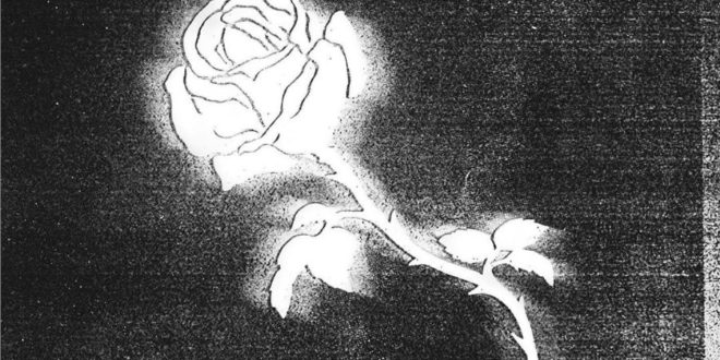 Liberato, genio creativo tra trap e neomelodico