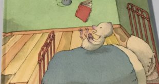 stupido libro copertina