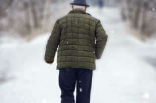 Farley - Christine Dwyer Hickey - Paginauno