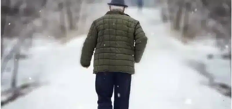 Farley - Christine Dwyer Hickey - Paginauno