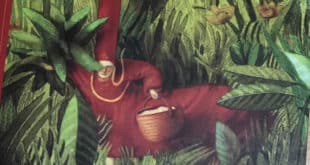 In bocca al lupo - Fabian Negrin