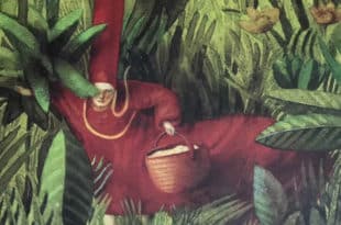 In bocca al lupo - Fabian Negrin