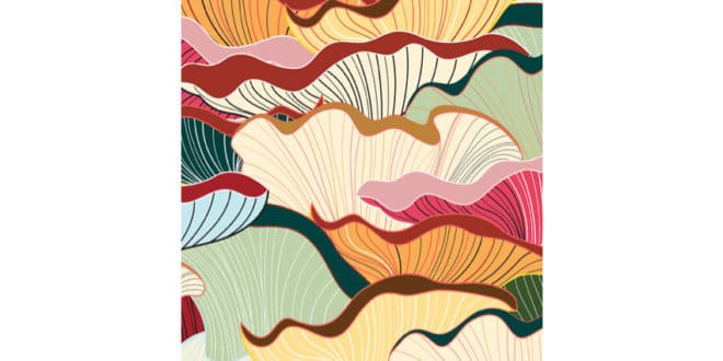 Long Litt Woon - La via del bosco - Iperborea