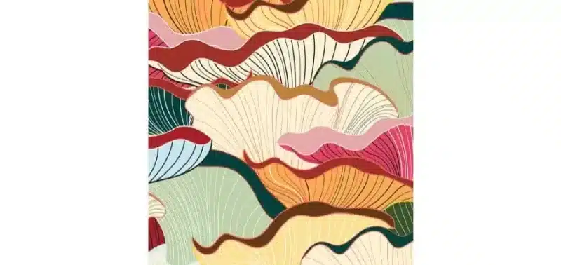 Long Litt Woon - La via del bosco - Iperborea