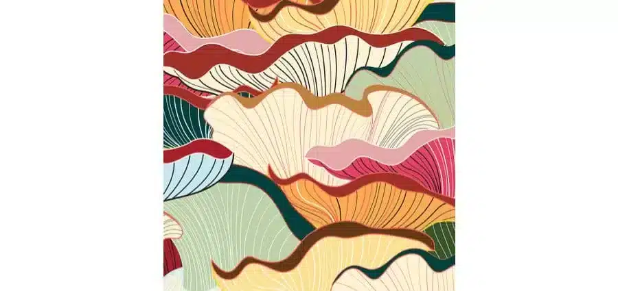 Long Litt Woon - La via del bosco - Iperborea