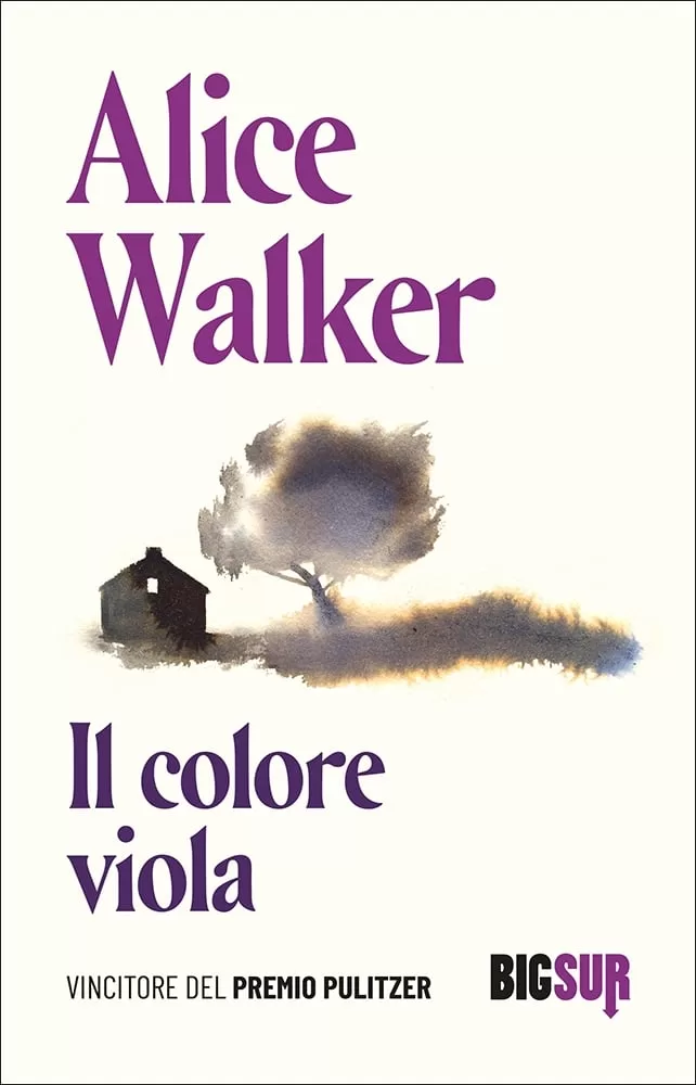 il colore viola