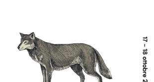 Torna I Boreali - Nordic Festival: il 17 e il 18 ottobre a Matera