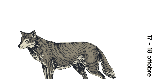 Torna I Boreali - Nordic Festival: il 17 e il 18 ottobre a Matera