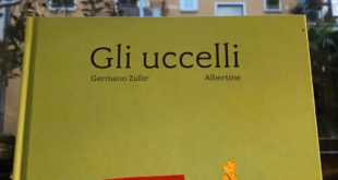 Gli uccelli Germano Zullo copertina