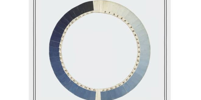 Oliver Sacks - Ogni cosa al suo posto - Adelphi