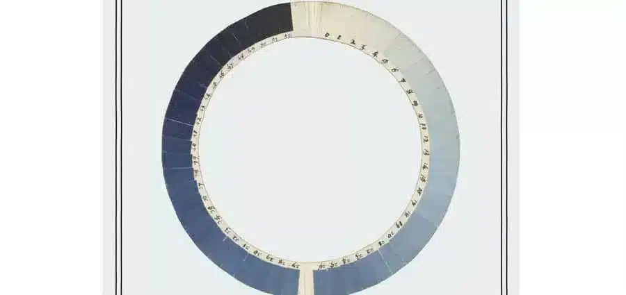 Oliver Sacks - Ogni cosa al suo posto - Adelphi