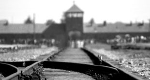 Chi se ne importa della Giornata della Memoria