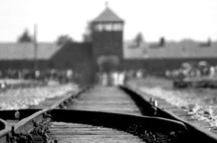 Chi se ne importa della Giornata della Memoria