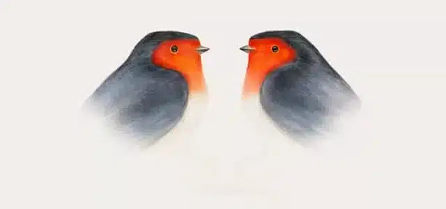 Brunori Sas - Cip! la nostra recensione