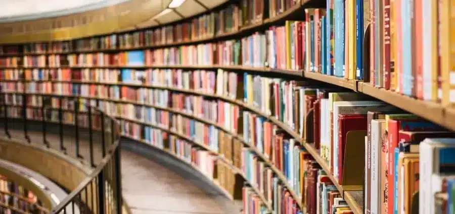 Libri da asporto_ il mondo dei libri cambia, le librerie resistono, gli umani sono salvi