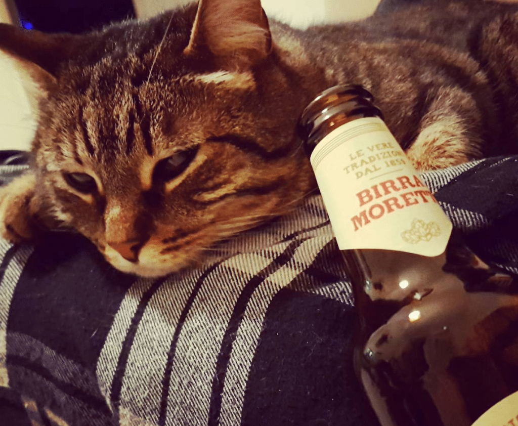 Il bello di avere quarant'anni