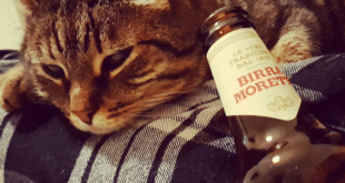 Il bello di avere quarant'anni