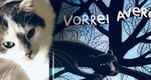 Vorrei avere… - Giovanna Zoboli Simona Mulazzani