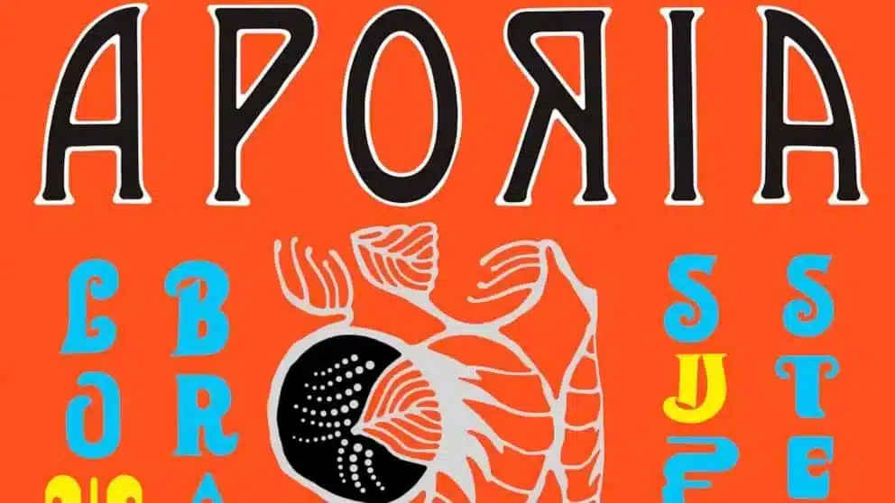 Novità dischi 2020: La recensione di aporia Sufjan stevens