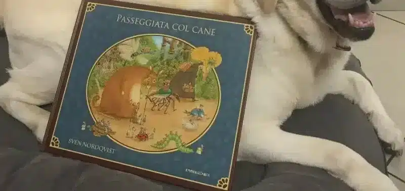 Passeggiata col cane - Sven Nordqvist