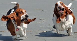 Milano city marathon 2021 - Diario di una maratona.jpg