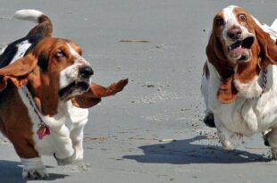 Milano city marathon 2021 - Diario di una maratona.jpg