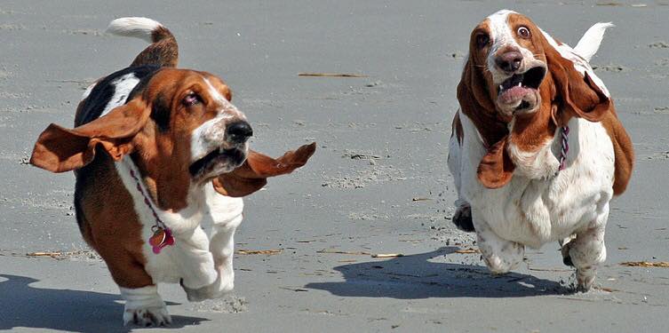 Milano city marathon 2021 - Diario di una maratona.jpg