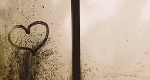 Milano-City-Marathon-2021-#3---L’esperimento