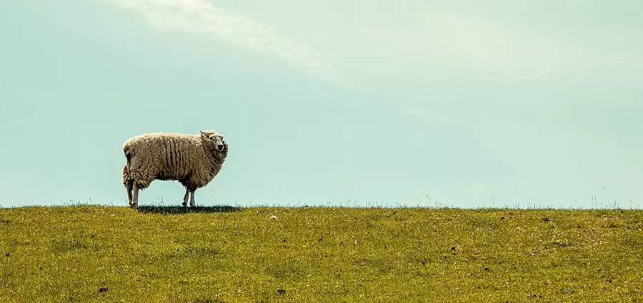 Milano-City-Marathon-2021-#4---In-direzione-cocciuta-e-contraria