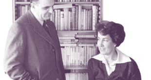 il nostro desiderio di diventare rondini