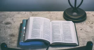 Un-decalogo-di-civiltà--facciamoci-i-cazzi-nostri