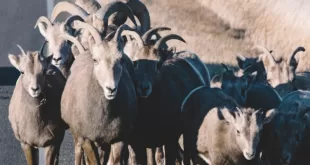 Milano City Marathon 2021 #7 - Disprezzo e pregiudizio