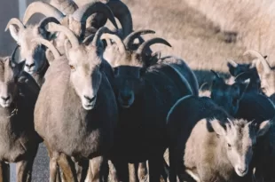 Milano City Marathon 2021 #7 - Disprezzo e pregiudizio