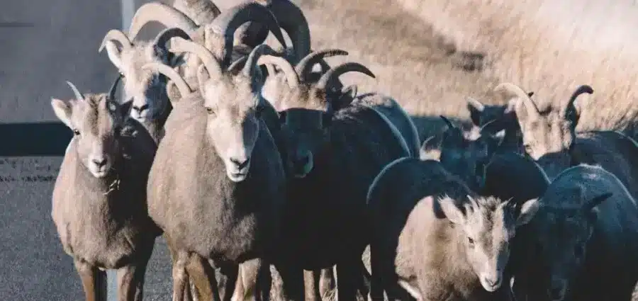 Milano City Marathon 2021 #7 - Disprezzo e pregiudizio