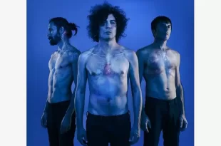 The zen circus, l'ultima casa accogliente