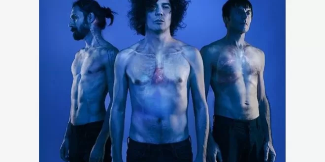 The zen circus, l'ultima casa accogliente