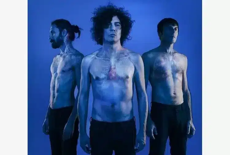 The zen circus, l'ultima casa accogliente
