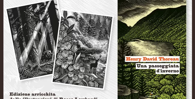 la frontiera selvaggia, collana