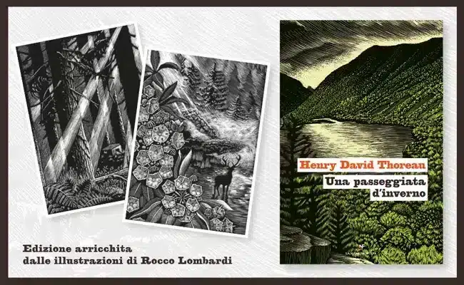 la frontiera selvaggia, collana