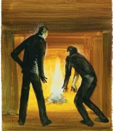 L’ospite della vigilia