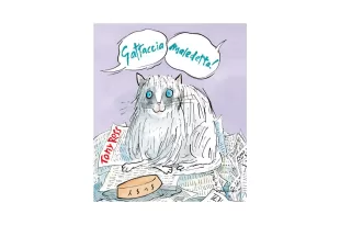 Gattaccia maledetta!