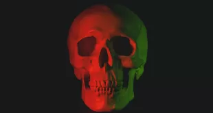 Milano city Marathon 2021 #10 - È il mio corpo che cambia, nella forma e nell’odore