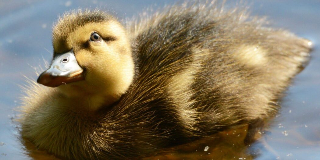 diario di una maratona