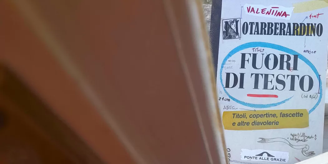 Fuori-di-testo.-Titoli,-copertine,-fascette-e-altre-diavolerie---Valentina-Notarberardino
