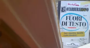 Fuori-di-testo.-Titoli,-copertine,-fascette-e-altre-diavolerie---Valentina-Notarberardino