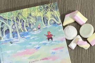 Nel paese delle Veramiglie - Camille Jourdy