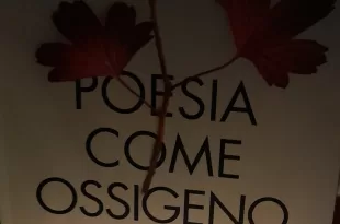 Poesia come ossigeno. Per un'ecologia della parola - Antonella Anedda, Elisa Biagini