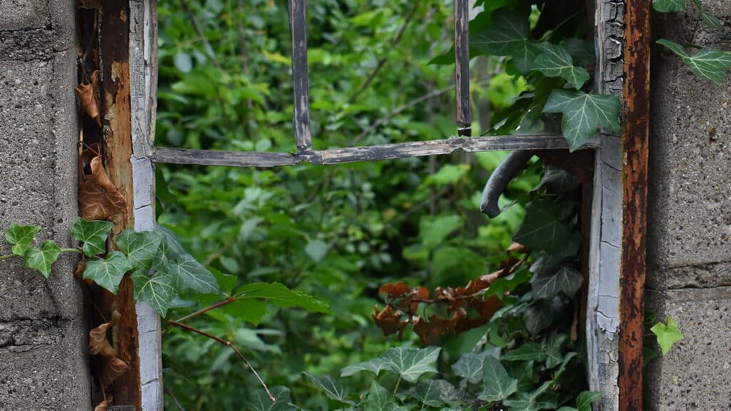 Scuola-e-sanità-privata--non-esistono-ragioni