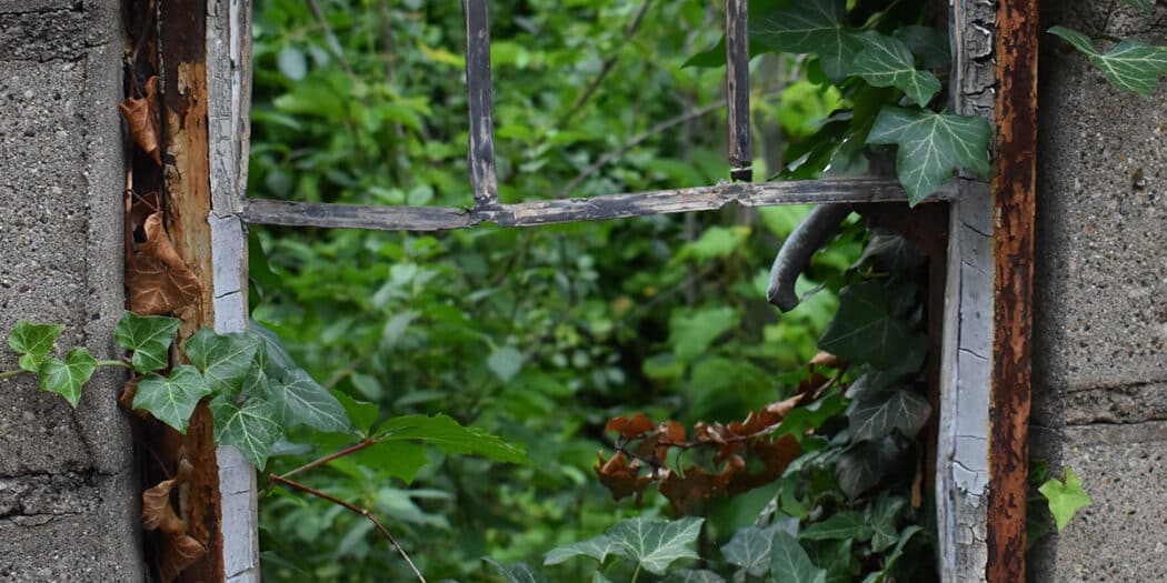 Scuola-e-sanità-privata--non-esistono-ragioni